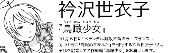 鳥瞰少女 衿沢世衣子