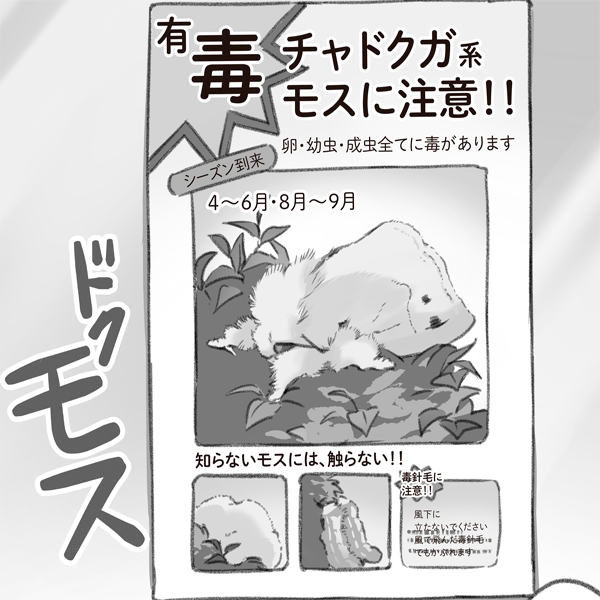トップページ マトグロッソ イースト プレス